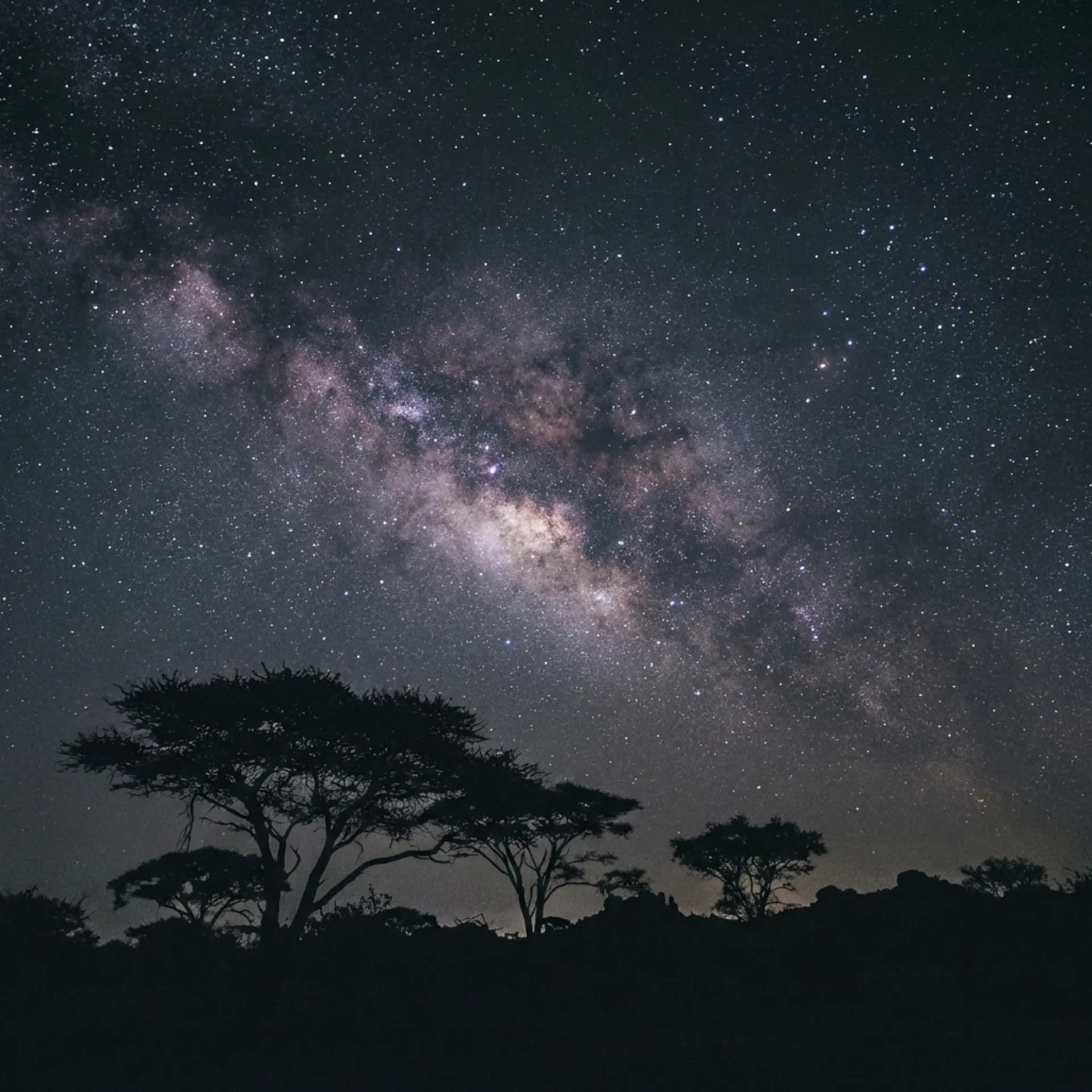 Under the Charcoal Sky: Stargazing in the Marico
