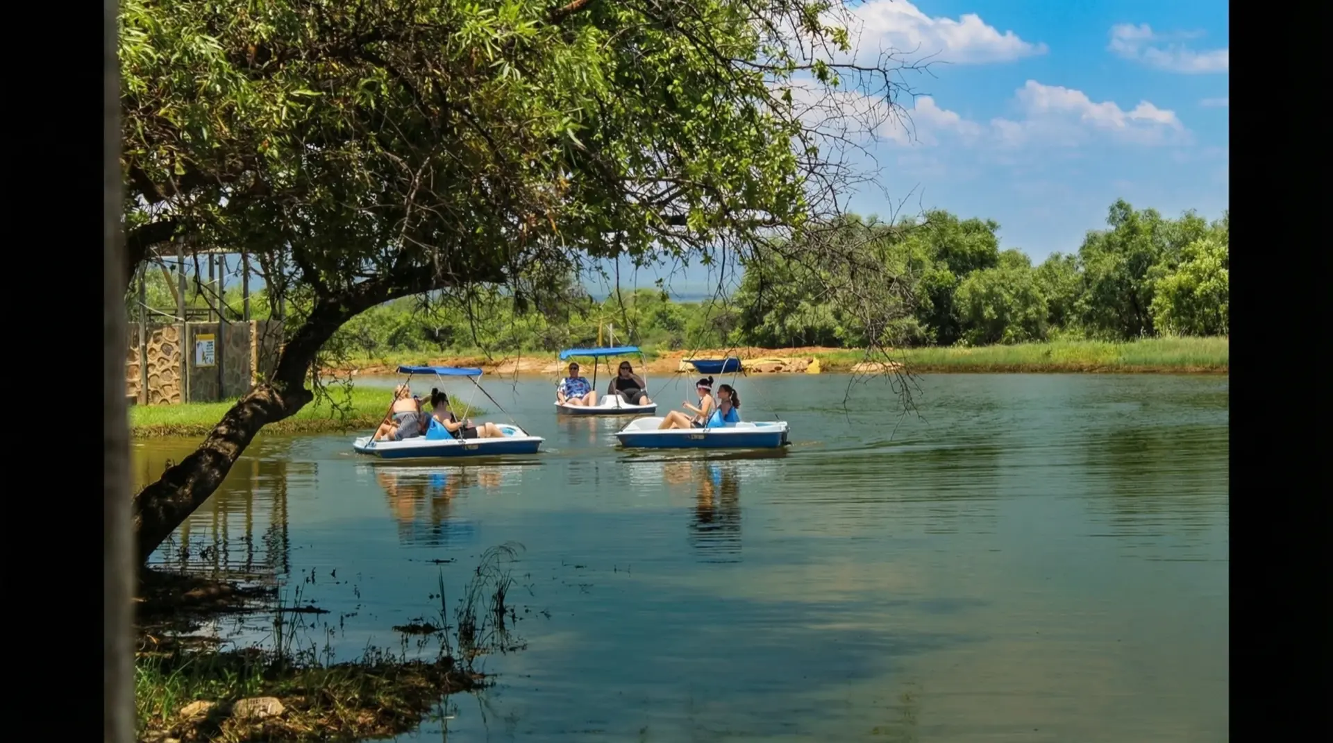 Paddle boats on the dam